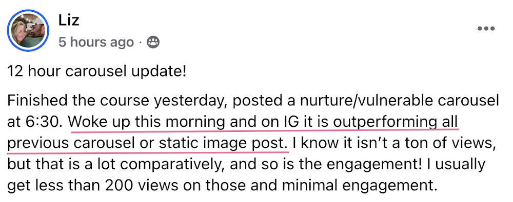Testimonial from Liz about the carousels course
